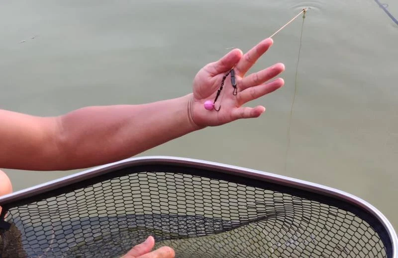 Lucana Carp Foam Pop Up Eva Bead Beads Other Accesories 10 Lucana Carp Foam Pop Up Eva Bead Beads Other Accesories