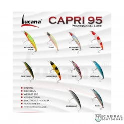 Lucana Capri 95 Sinking Lure | Size: 9.5cm | 17g