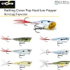 Storm Arashi Rattling Cover Pop Hard Lure 8cm/14g, 1pcs/pkt Popper 2 Storm Arashi Rattling Cover Pop Hard Lure 8cm/14g, 1pcs/pkt Popper