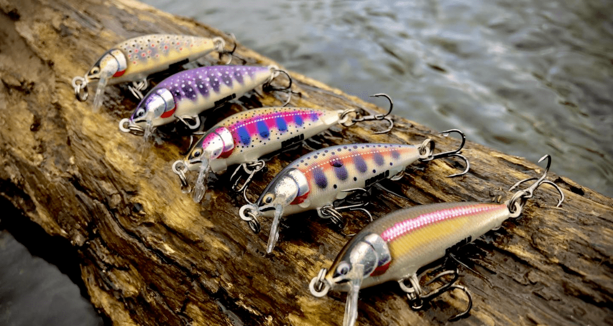 CABRAL OUTDOORS Sales 10 CABRAL OUTDOORS Sales -CABRAL OUTDOORS Sales d 2